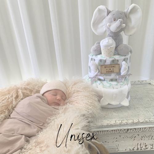 Unisex Nappy Cake | Nappy Cakes in Sydney – Fast Shipping – Nappie Cakes