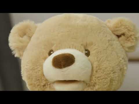 ANIMATED PLUSH TOY: PEEK-A-BOO BEAR  BY GUND