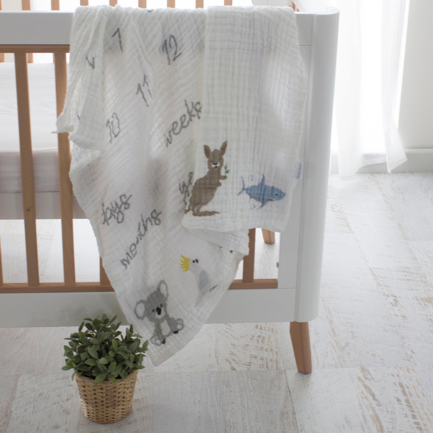 Aussie Animals milestone muslin blanket draped over a modern baby crib showing kangaroo and koala designs.